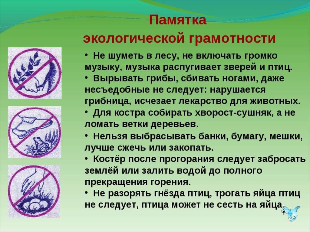 Изображения.